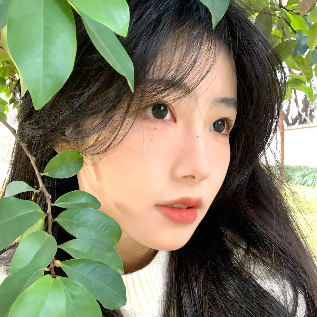 女人的陷阱